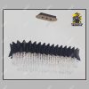لوستر مدرن دیواری کرو الماسی - Image 2